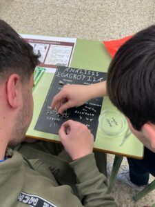Análisis de Egagrópilas
