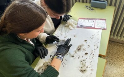 Taller de Ciencias: Análisis de Egagrópilas