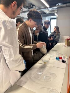 SAFA SIGÜENZA QUÍMICA EN ACCIÓN (1)