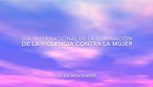 Lee más sobre el artículo Día Internacional de la Eliminación de la Violencia contra las Mujeres