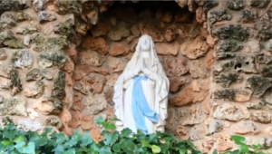 Lee más sobre el artículo D. Jesús de la Heras nos habla de la Virgen de Lourdes