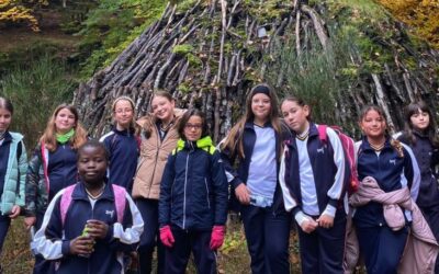 Excursión Primaria al Hayedo de la Tejera Negra