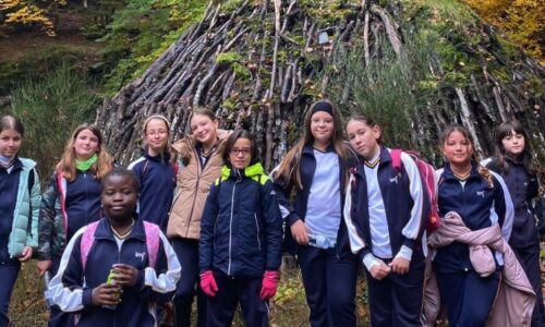 Excursión Primaria al Hayedo de la Tejera Negra